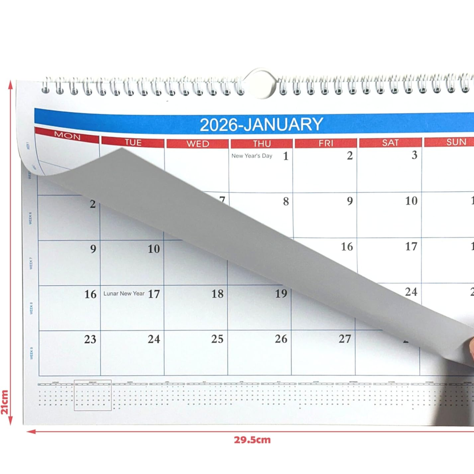 Calendar rollout showing January 2026 with measurements indicated