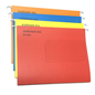 A4 Suspension Files with Labels & Clear Holders – Mixed Colours - 10/20/30 Pack
