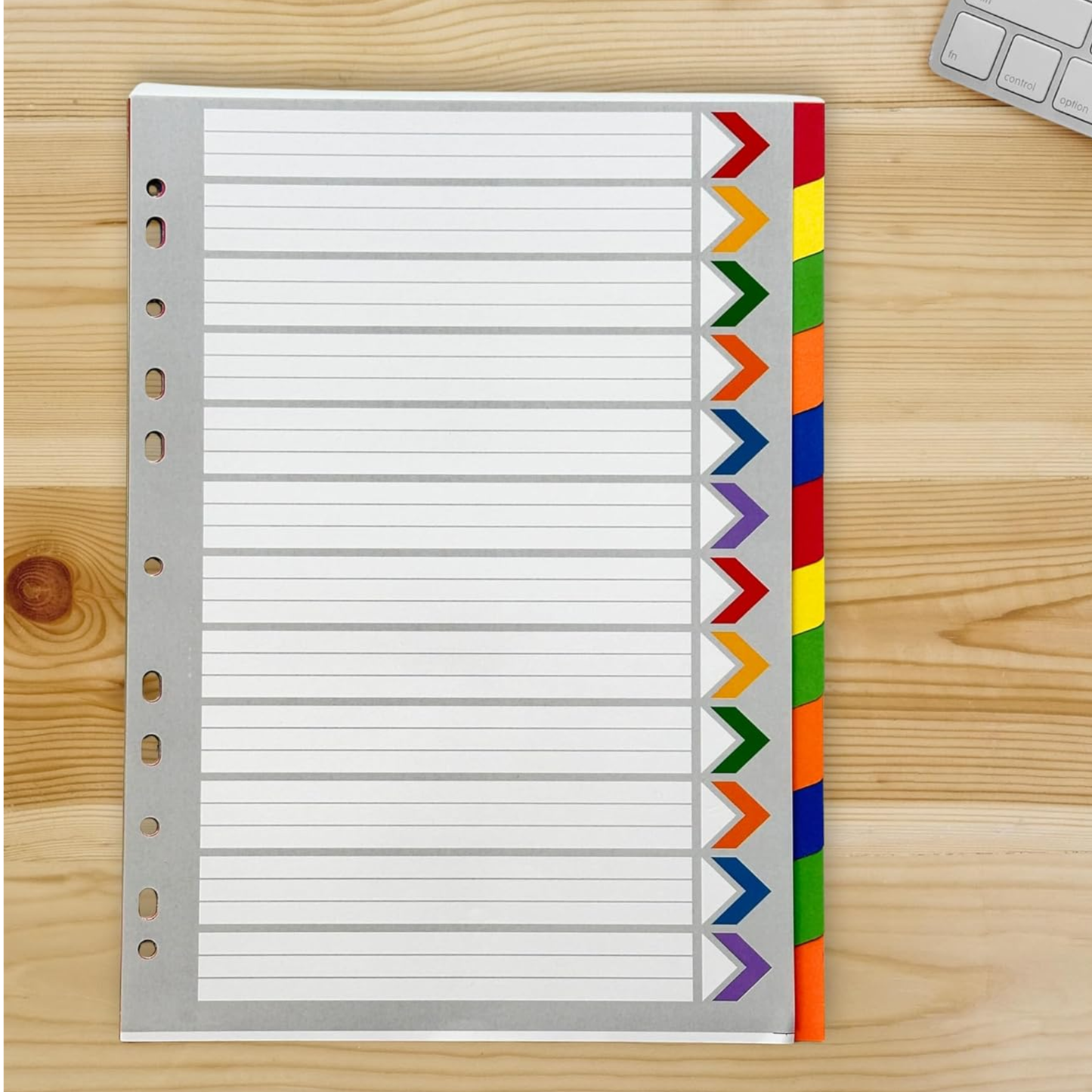 A4 File Dividers 12 Part | Coloured Punched Card Filing Dividers with Writable Index Tabs for Ring Binders & Lever Arch Files