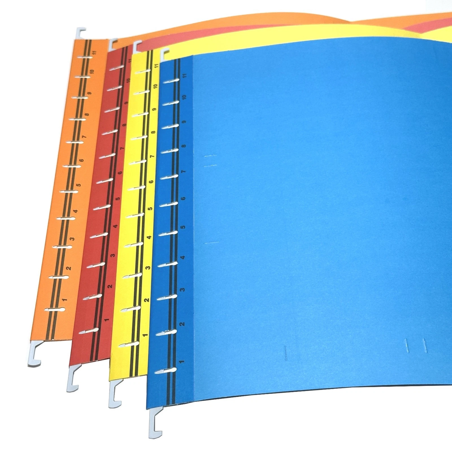 A4 Suspension Files with Labels & Clear Holders – Mixed Colours - 10/20/30 Pack