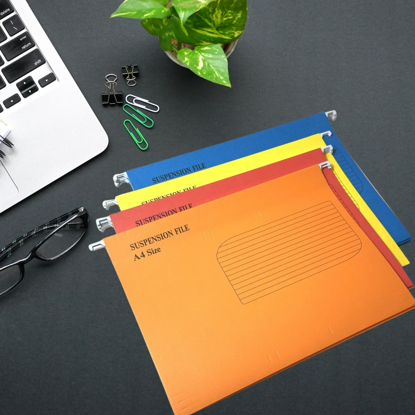 A4 Suspension Files with Labels & Clear Holders – Mixed Colours - 10/20/30 Pack