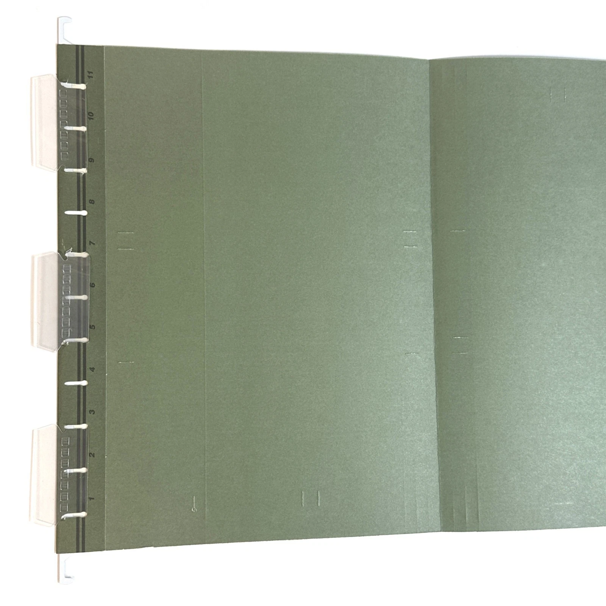 A single suspension file closeup view  plastic tabs label inserts