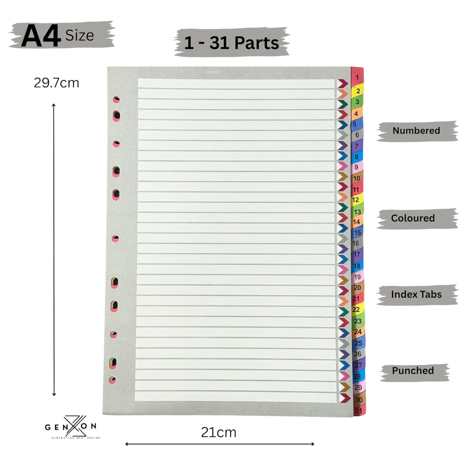 A4 size index divider cards with 31 numbered, coloured, and punched tabs, shown with dimension markings of 29.7cm in height and 21cm in width on a white background.